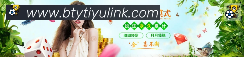 未来规划